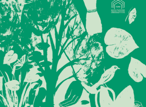 affiche_George_sans_S_WEB_RVB