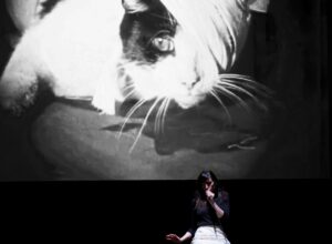copyright Olivier Ouadah (2)